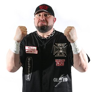 Bully Ray - Fights, Stats, Videos - FITE